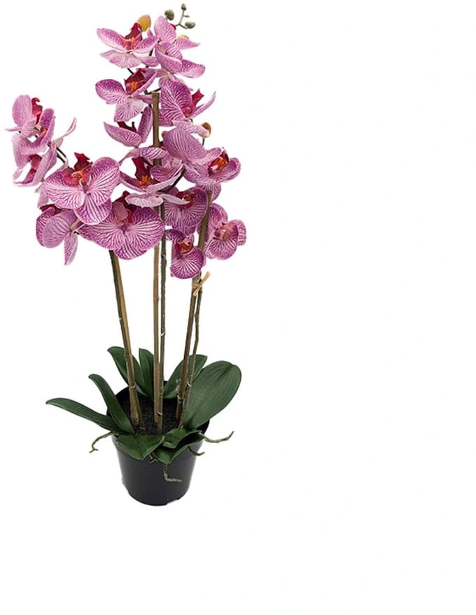 Kunst Phalaenopsis Orchidee In Pot x3 60 cm - Tiger Cerise