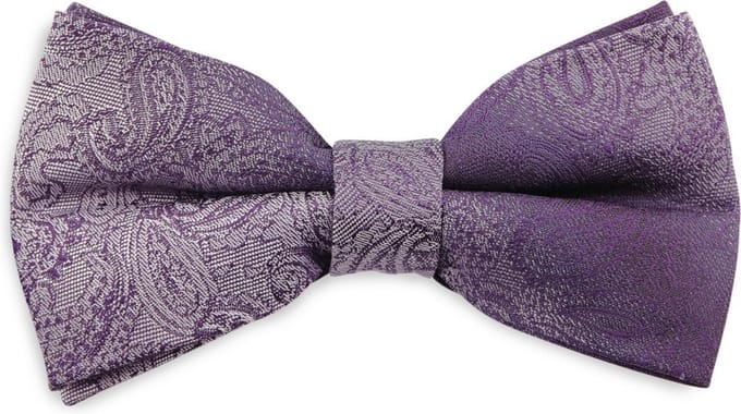 We Love Ties - Strikken - Strik Paisley Duo paars - paars / grijs