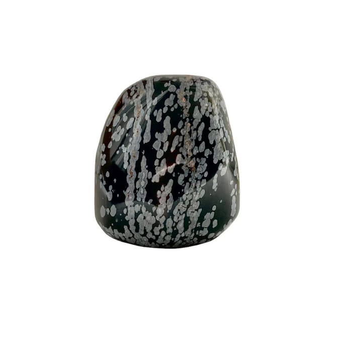 Edel-gedenk-steen Staande Obsidiaan Sneeuwvlok
