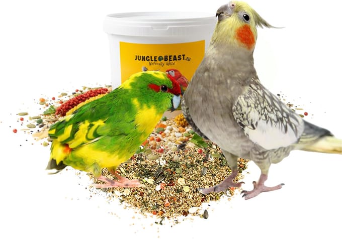 Jungle Beast - Scharrelkracht - papegaaieneten - Kakariki - Valkparkiet - Pyrrhura - ...