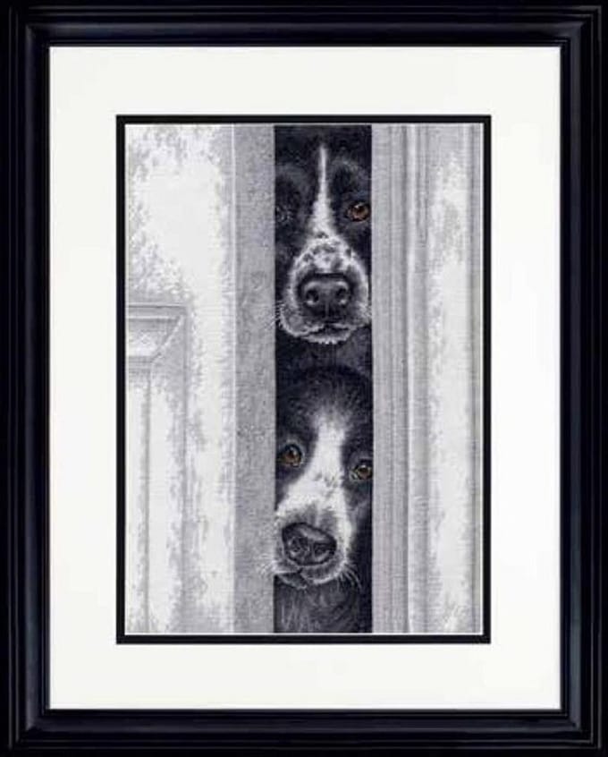 Dimensions Peeking Pups borduren (pakket)