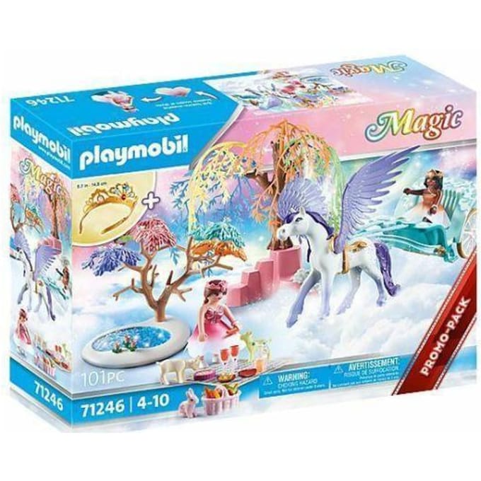 Caleche en ayuma paard Playmobil