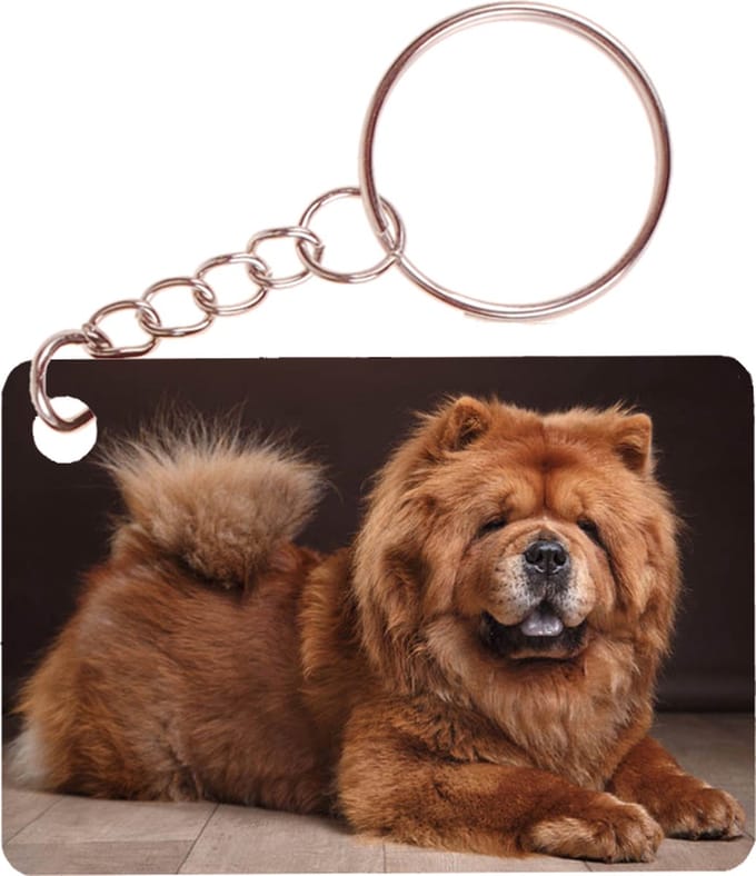 Sleutelhanger 6x4cm - Chowchow Hond Liggend