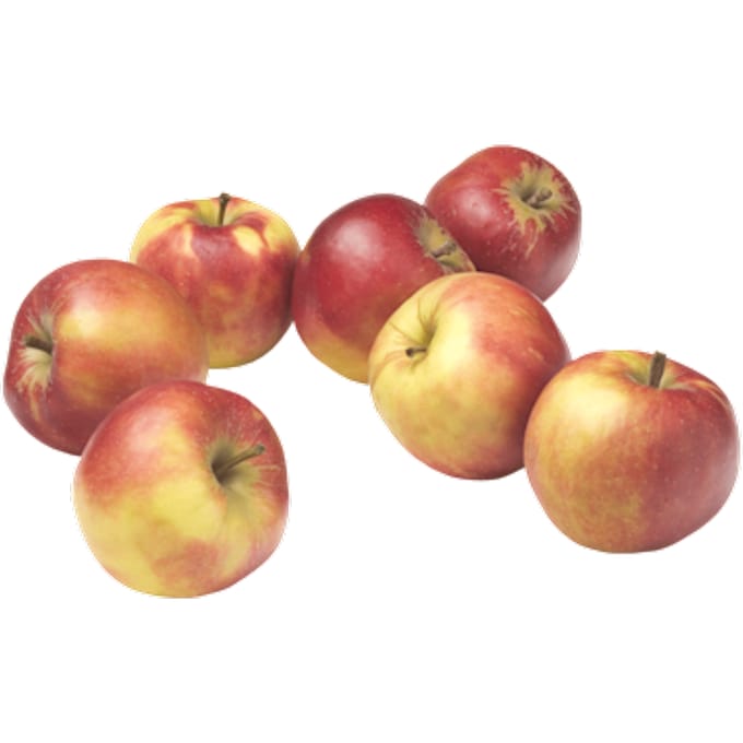 Handappels Elstar