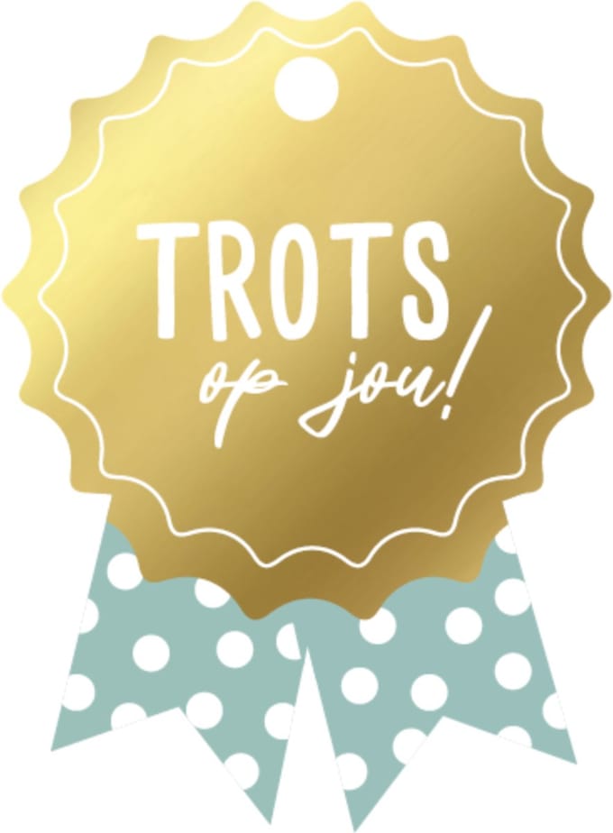 Cadeaulabel medaille trots op jou - 10 stuks - 48 x 65,5 mm