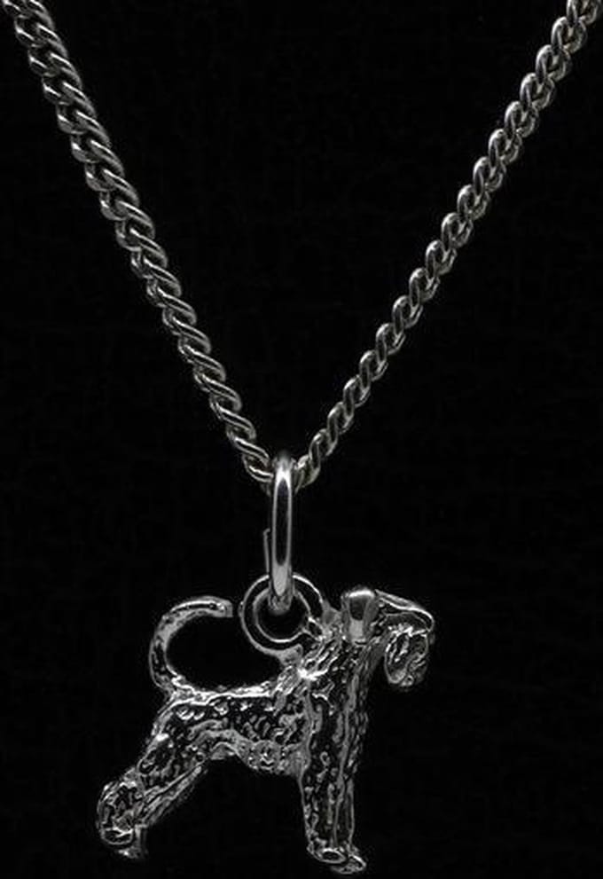 Zilveren Riesen schnauzer oren ongecoupeerd met staart ketting hanger - klein