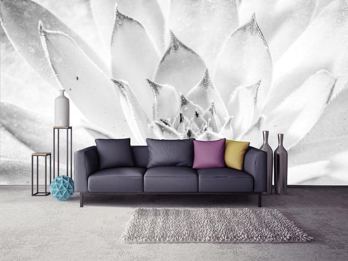 Nature Plant Black White Photo Wallcovering