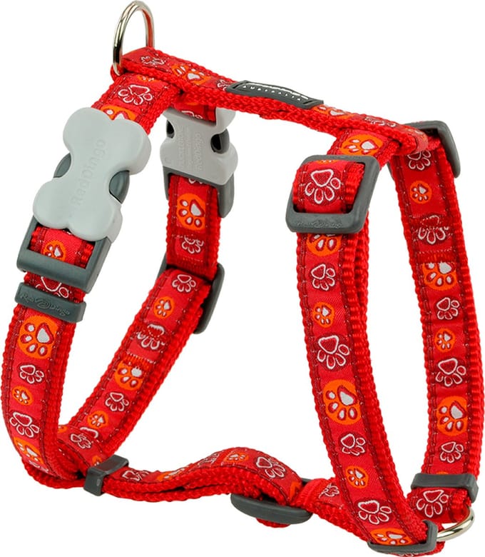 Hondentuigje Red Dingo Style Rood 37-61 cm