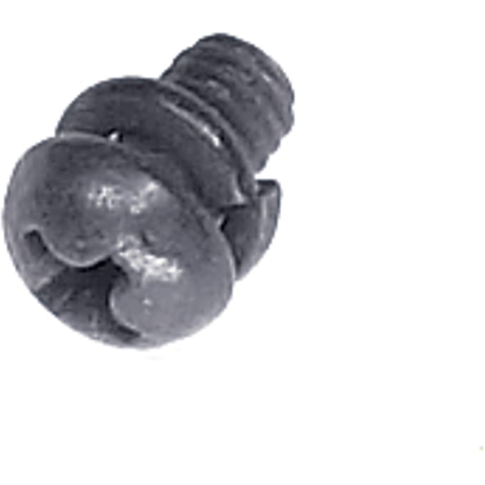 Screw