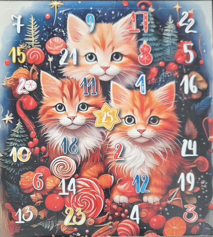 Kerst Adventskalender Voor Katten - Kattensnacks
