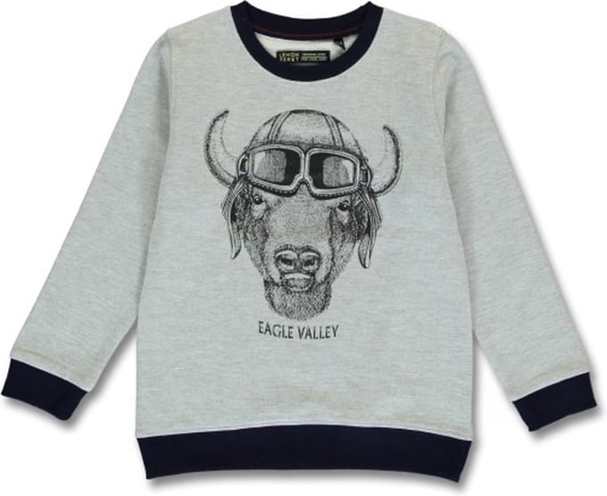 Lemon Beret Sweater Jongens - Grijs - 146491 - maat 116/122