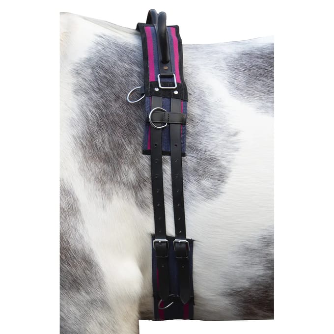 Paardensurfplank met handvat HKM Canvas