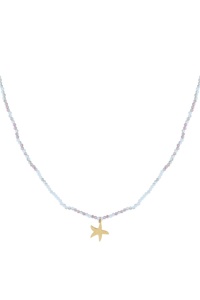 Ketting kleurrijke zeester