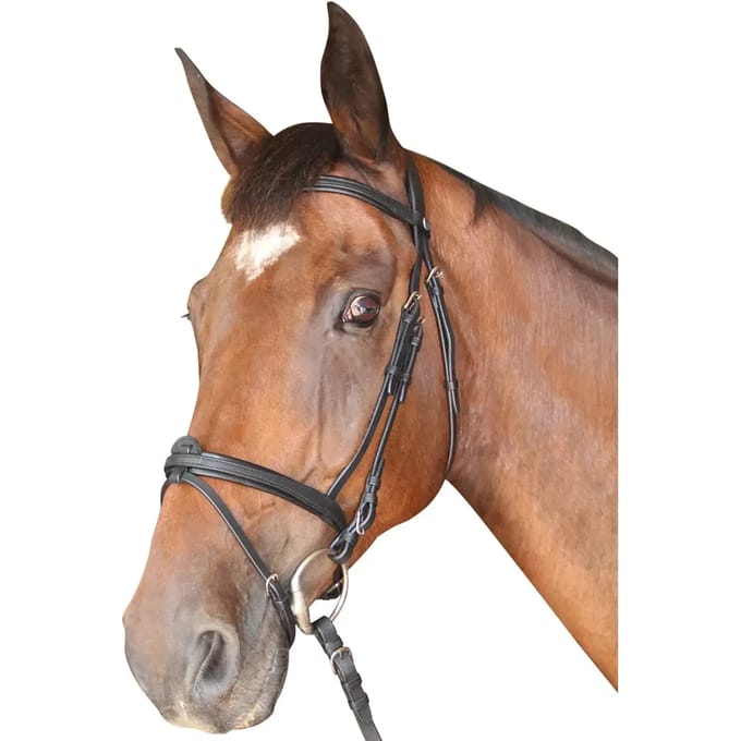 Gecombineerde hoofdstellen Privilège Equitation Cabourg