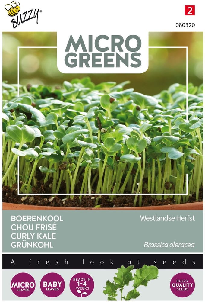 Buzzy® Microgreens, Boerenkool Westlandse Herfst