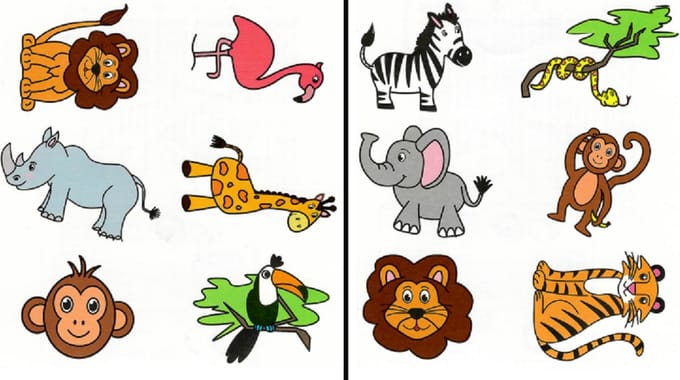 Jungle Tattoos - Set van 96 vellen