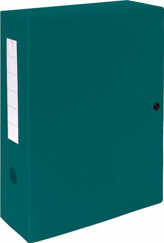 Exacompta Klasseerdoos PP opaak rug 100mm - Groen - 59933E