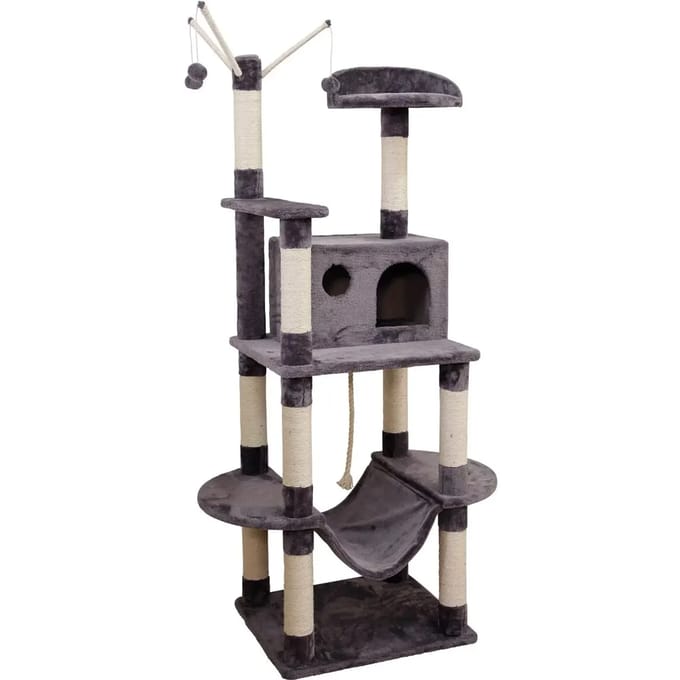 Kattenboom Kerbl Matteo