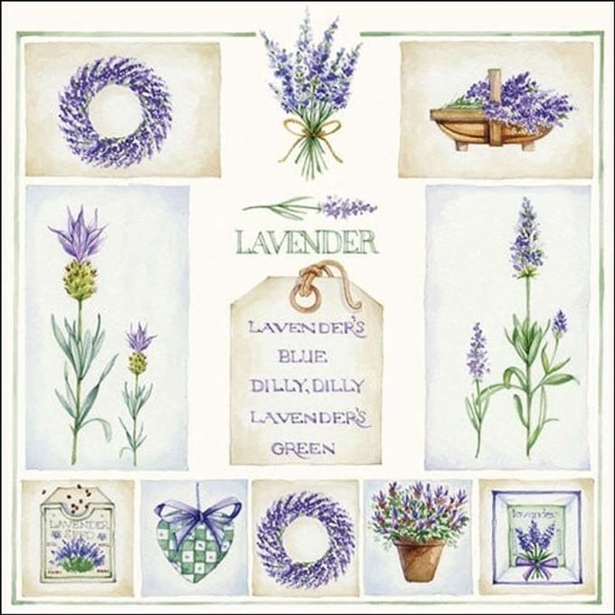 Ambient - Lunch servetten - Lavender's