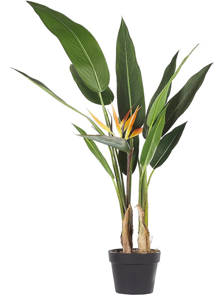 STRELITZIA TREE - Kunstplant - Groen - Synthetisch materiaal