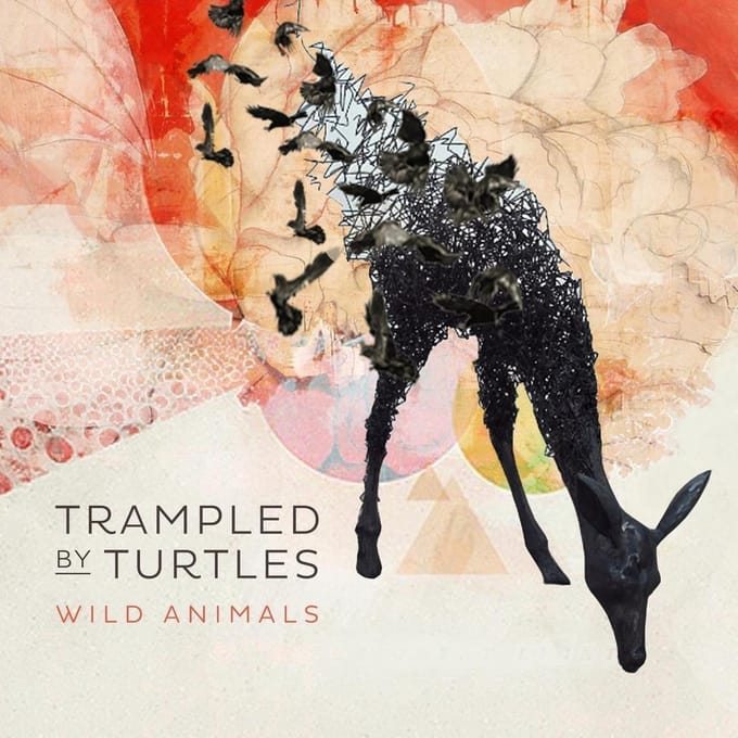 Wild Animals - Trampled By Turtles