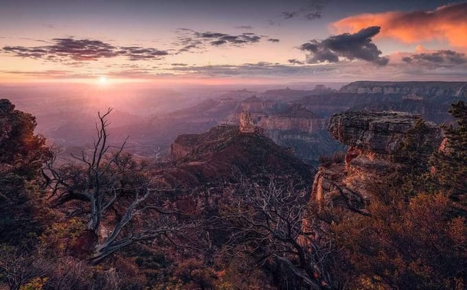 Grand View Fotobehang - Meerkleurig - 2,80m X 450cm