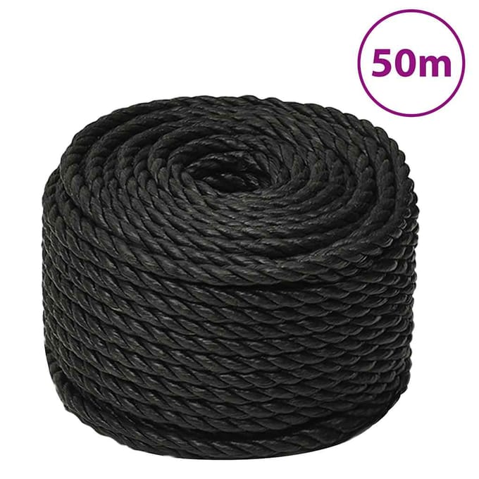 vidaXL - Werktouw - 10 - mm - 50 - m - polypropeen - zwart