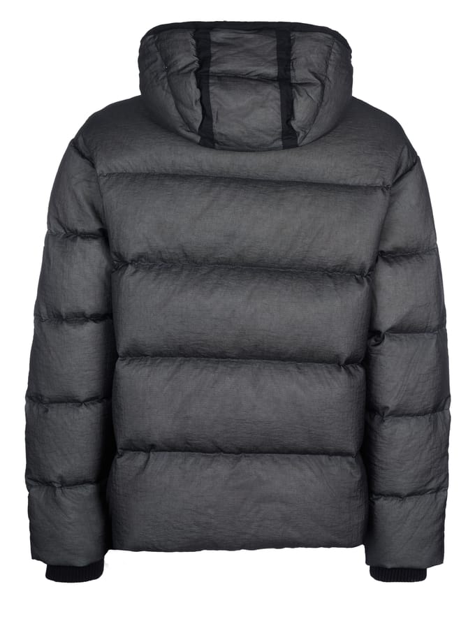 Windjack Dsquared -