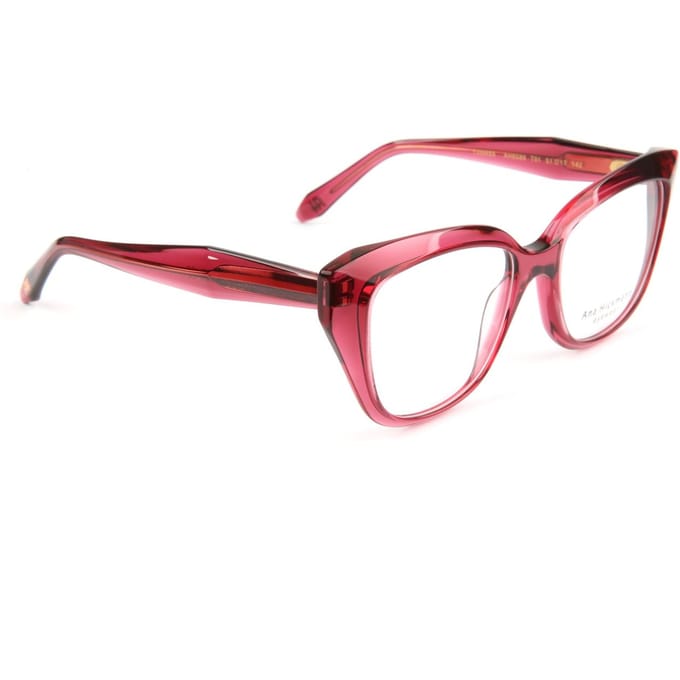 Ana Hickmann Optical Frame AH6589 T01 51