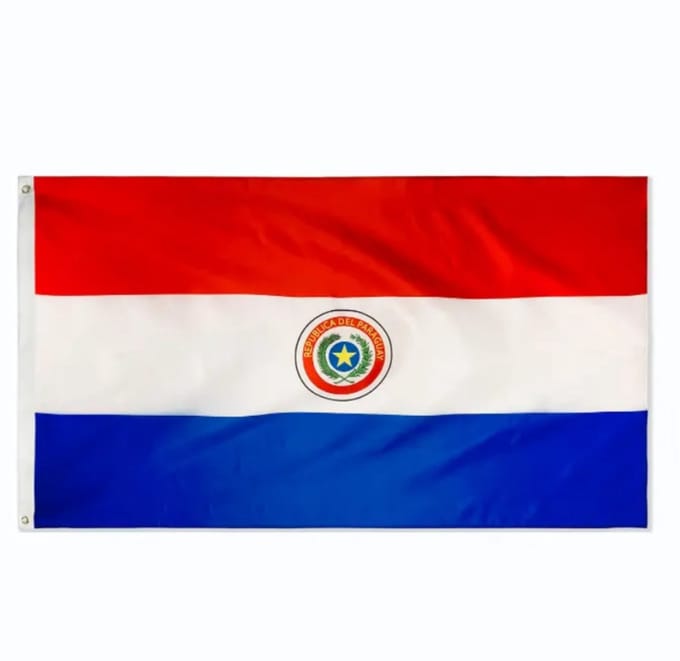 Go Go Gadget - Vlag - 90x150cm - Paraguay
