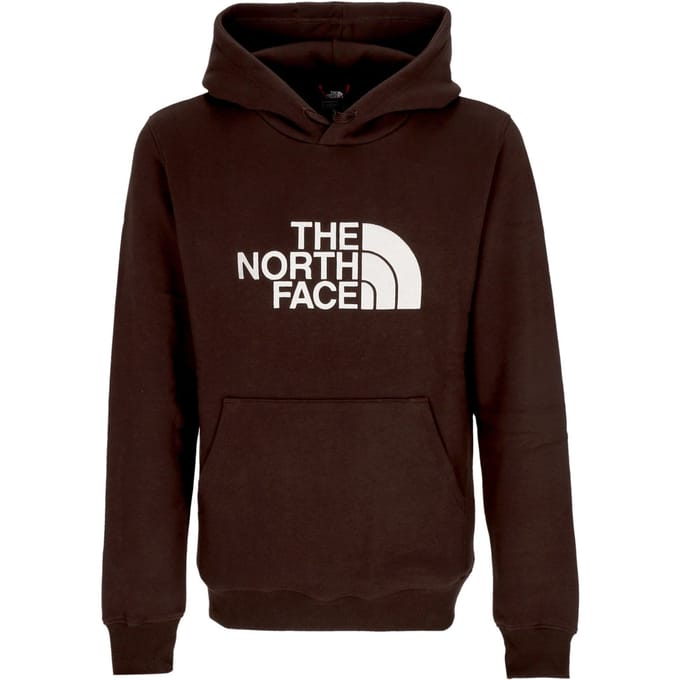 The North Face Drew Peak Hoodie Heren - Maat S