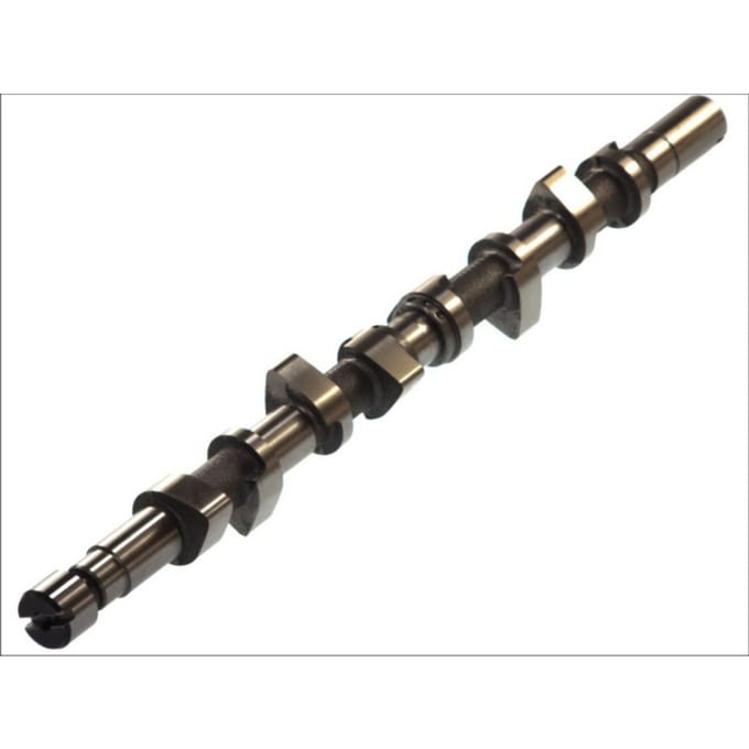 Nokkenas  AMC 662851