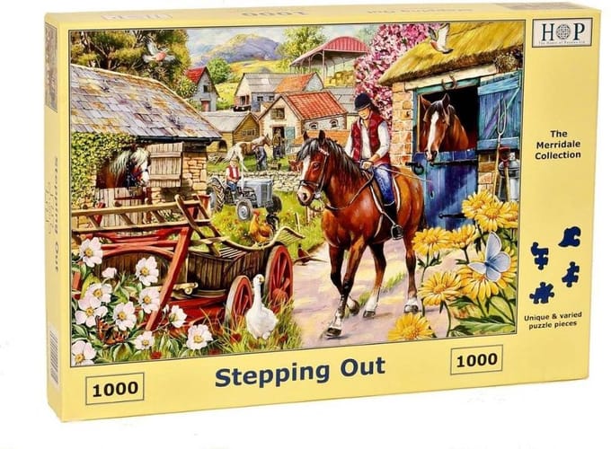 House of Puzzles Stepping Out - 1000 Piece Jigsaw Puzzle.