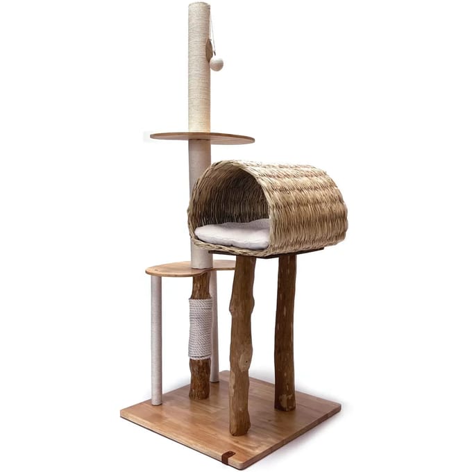 Kattenboom Martin Sellier Pure Triple