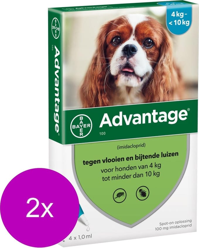 Advantage Hond 4 pip - Anti vlooien en luizenmiddel - 2 x 1 ml 4-10kg
