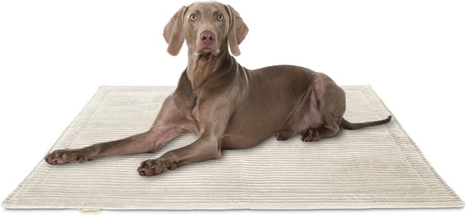 Knuffelwuff Cord Hondenkleed Timor 80x60cm Beige