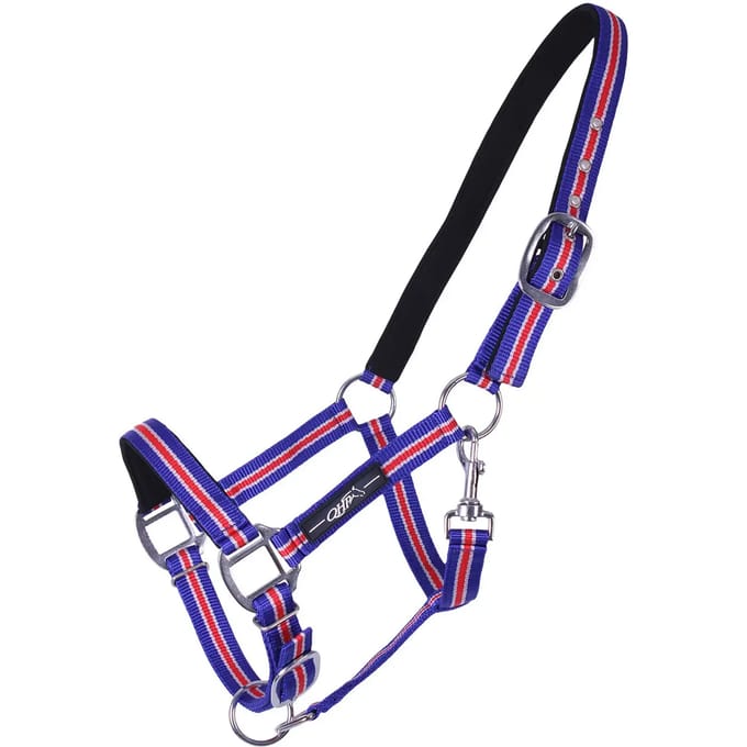 Halster voor paarden QHP Icelandic