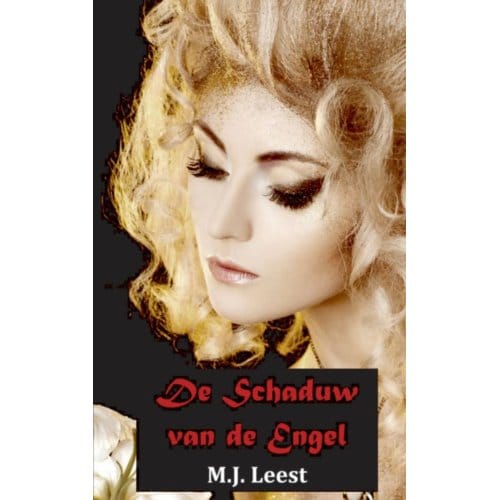 De Schaduw Van De Engel - M.J. Leest