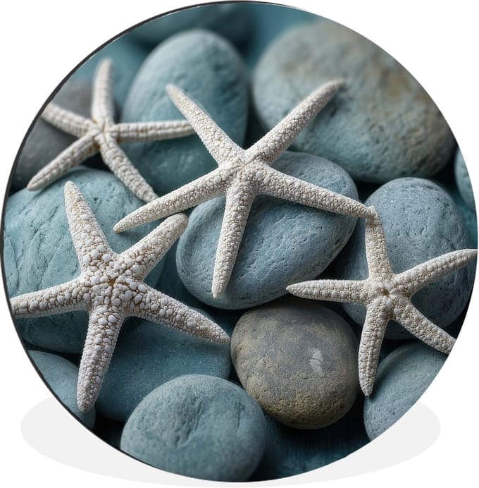 WallCircle - Wandcirkel - Muurcirkel - Zeesterren - Stenen - Wit - Aluminium - Dibond - 30x30 cm - Binnen en Buiten