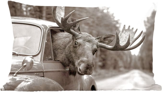 Sierkussens - Kussentjes Woonkamer - 60x40 cm - Eland - Auto - Gewei - Zwart - Wit