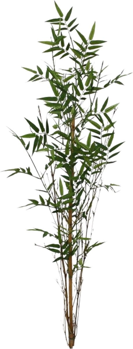 Oriental Bamboe kunsttak recht 120cm