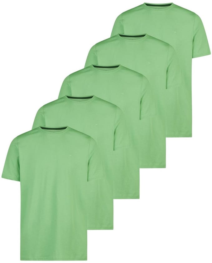 Redmond Heren t-shirt 5 pack Basic