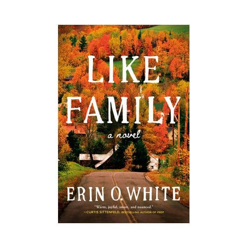 Like Family - Erin O. White