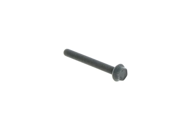 Screw