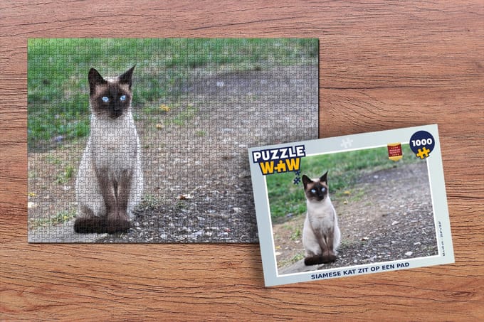 Puzzel Siamese kat zit op een pad - Legpuzzel - Puzzel 1000 stukjes volwassenen