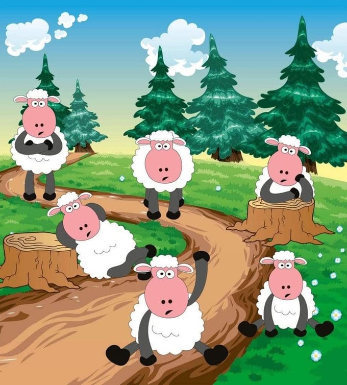 Fotobehang - Sheep 225x250cm - Vliesbehang