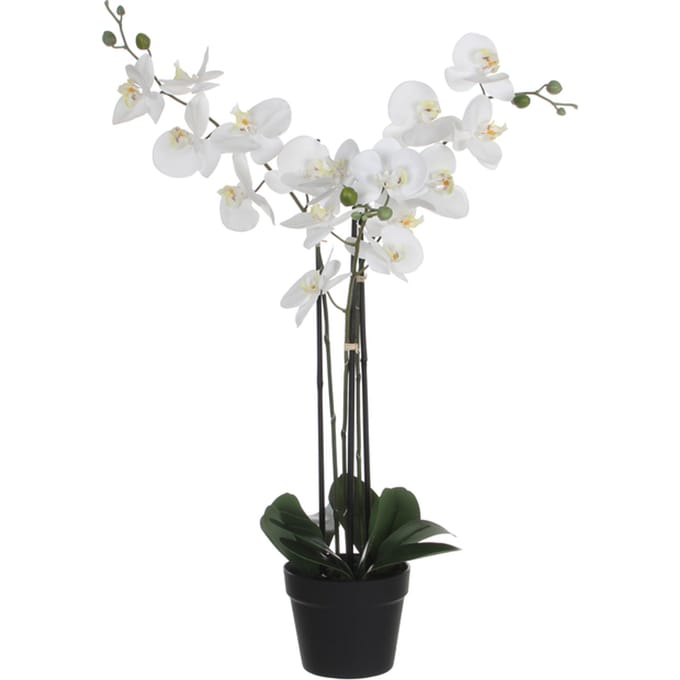 Kunstplant Mica Phalaenopsis orchideeën wit in plastic pot 79x51cm