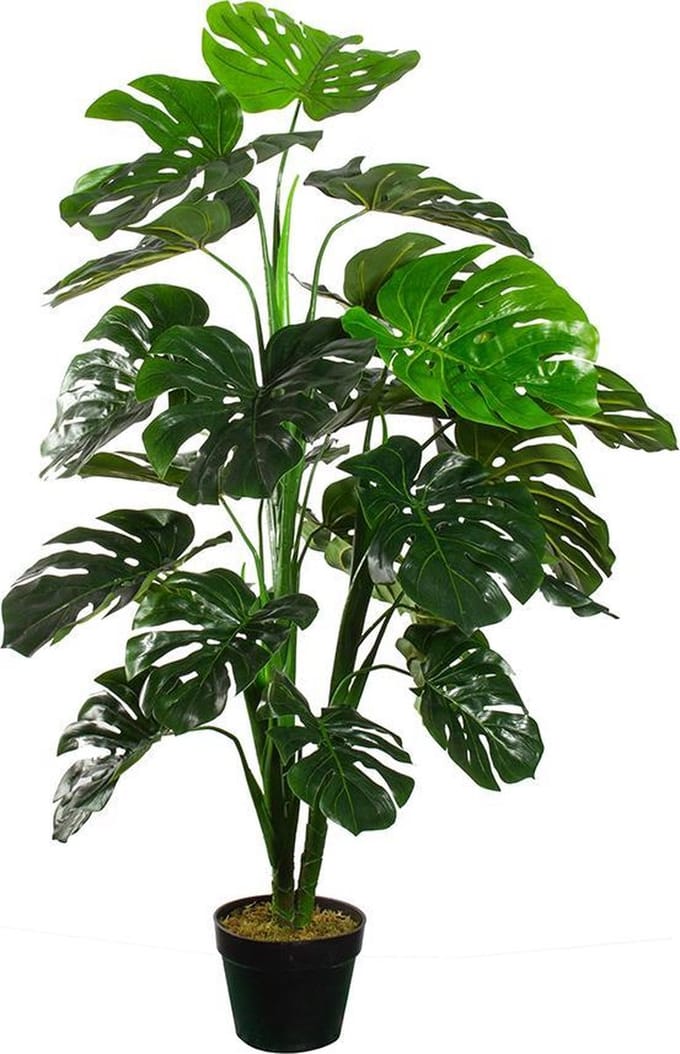 Kunstplant Monstera H120 cm - HTT Decorations kunstplanten