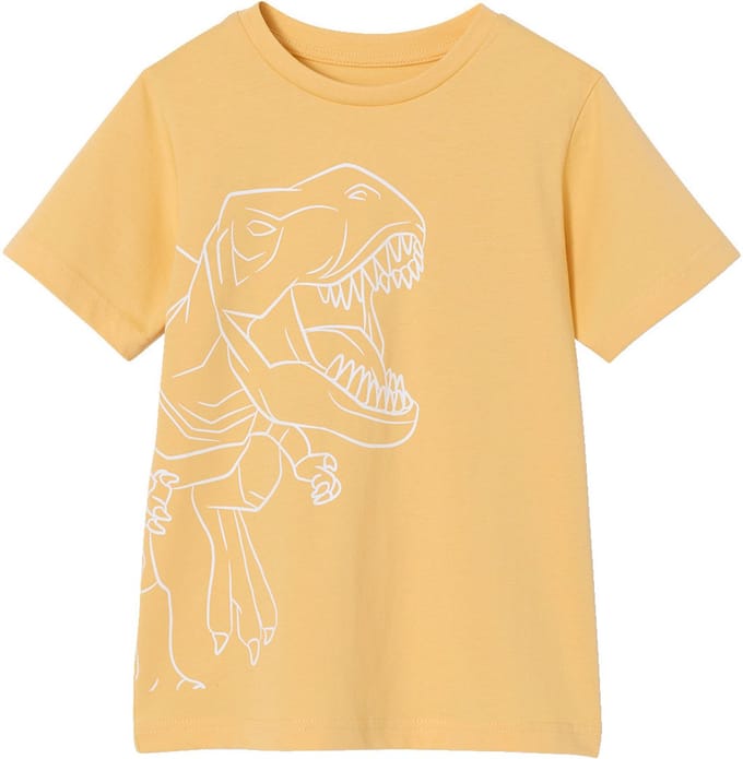 Vertbaudet T-shirt voor jongens met print