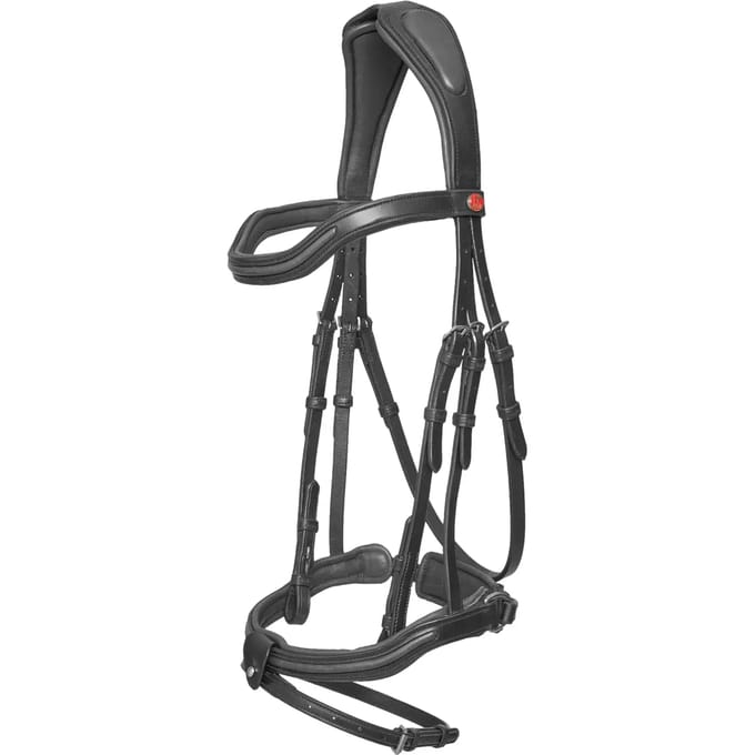 Hoofdstel Kieffer Palmanova with square chrome buckles